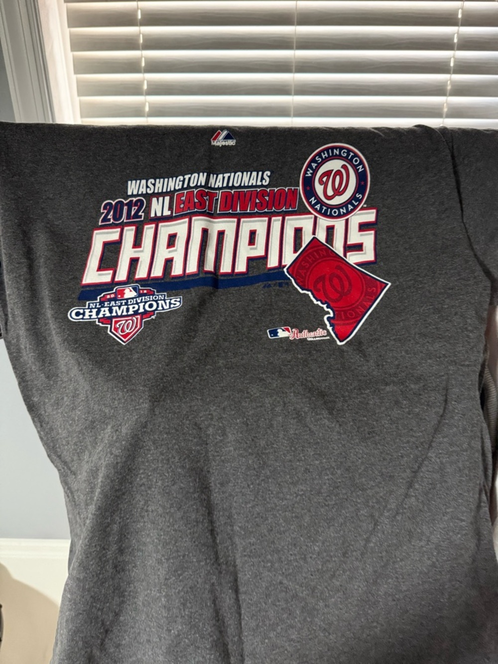 Majestic Washington Nationals Charcoal 2012 NL East Champions Tee